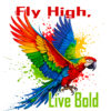 T-Shirt or Hoodie "Fly High, Live Bold" – Vibrant Parrot Design - Image 13