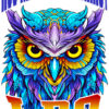 "Hoo Knows Everything?" Owl T-Shirt & Hoodie – Vibrant and Wise Design - Image 17
